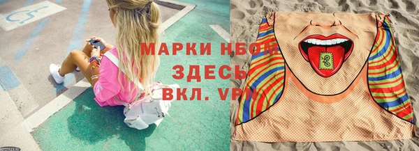 apvp Пестово