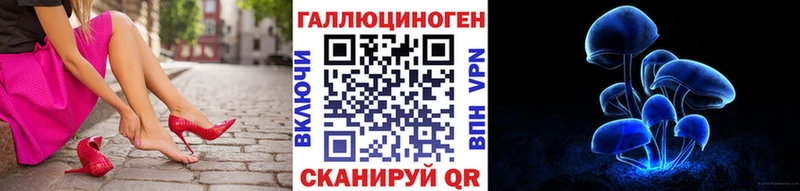 Галлюциногенные грибы Psilocybe  Константиновск 